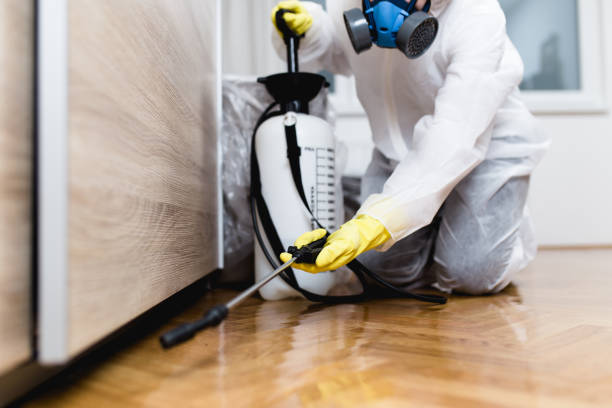 Best Local Pest Control Services  in Bad Axe, MI