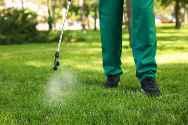 Best Best Pest Control Companies  in Bad Axe, MI
