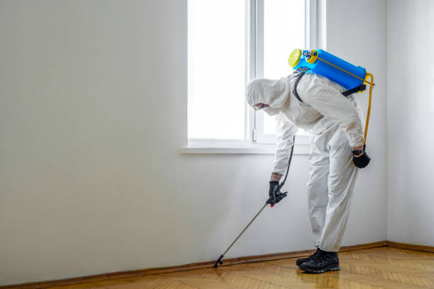 Best Bed Bug Extermination  in Bad Axe, MI