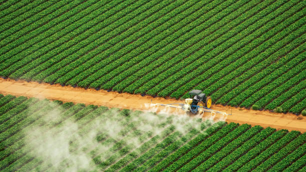 Best Ant Control Services  in Bad Axe, MI