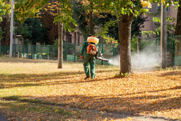Best Bed Bug Extermination  in Bad Axe, MI