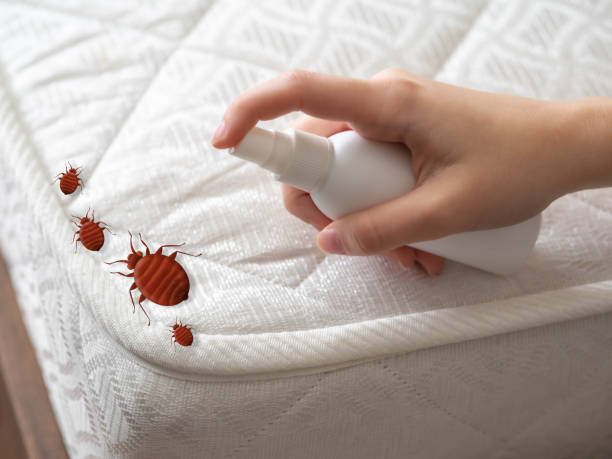Best Best Pest Control Companies  in Bad Axe, MI