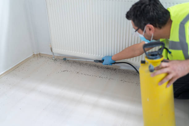 Best Pest Removal Services  in Bad Axe, MI